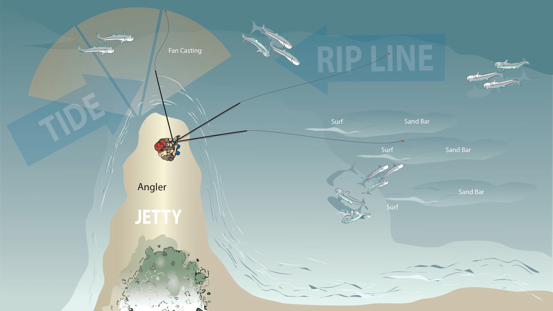 Shore Fishing: Jetties