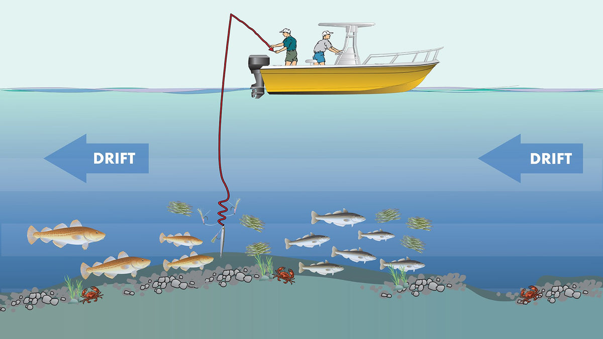 Cod Fish Load Out How To: Cod Fishing Basics | Cape Cod