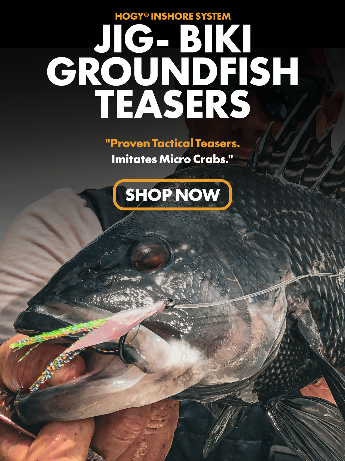 HOGY BIKI GROUNDFISH TEASER JIG SYSTEM