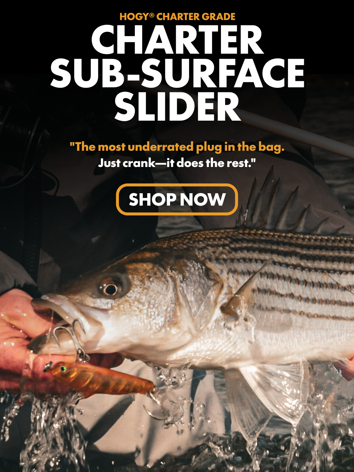 Hogy Charter Subsurface Slider Plug Lure