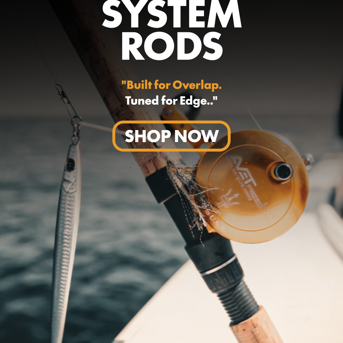 System Rods: Hybrids System Rods: Hybrids