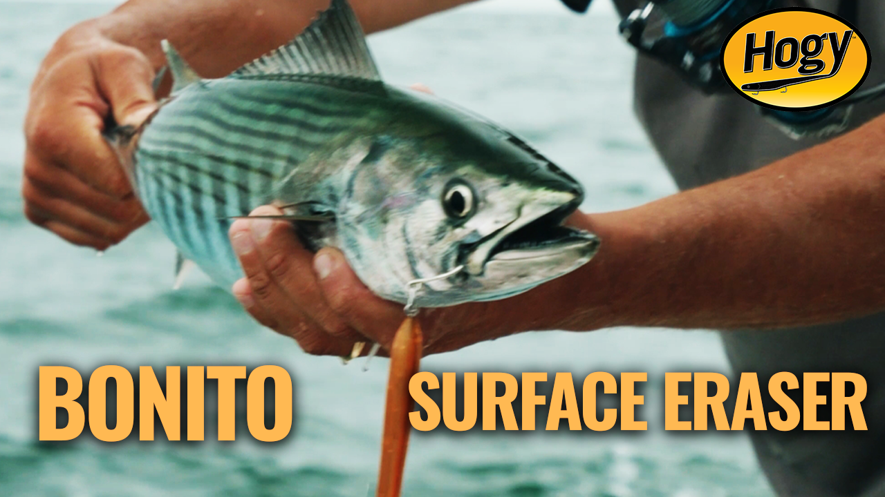 The Perfect Troubleshooting Lure | Bonito & Albies