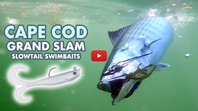 Inshore Fishing GRAND SLAM | Cape Cod Fall Run