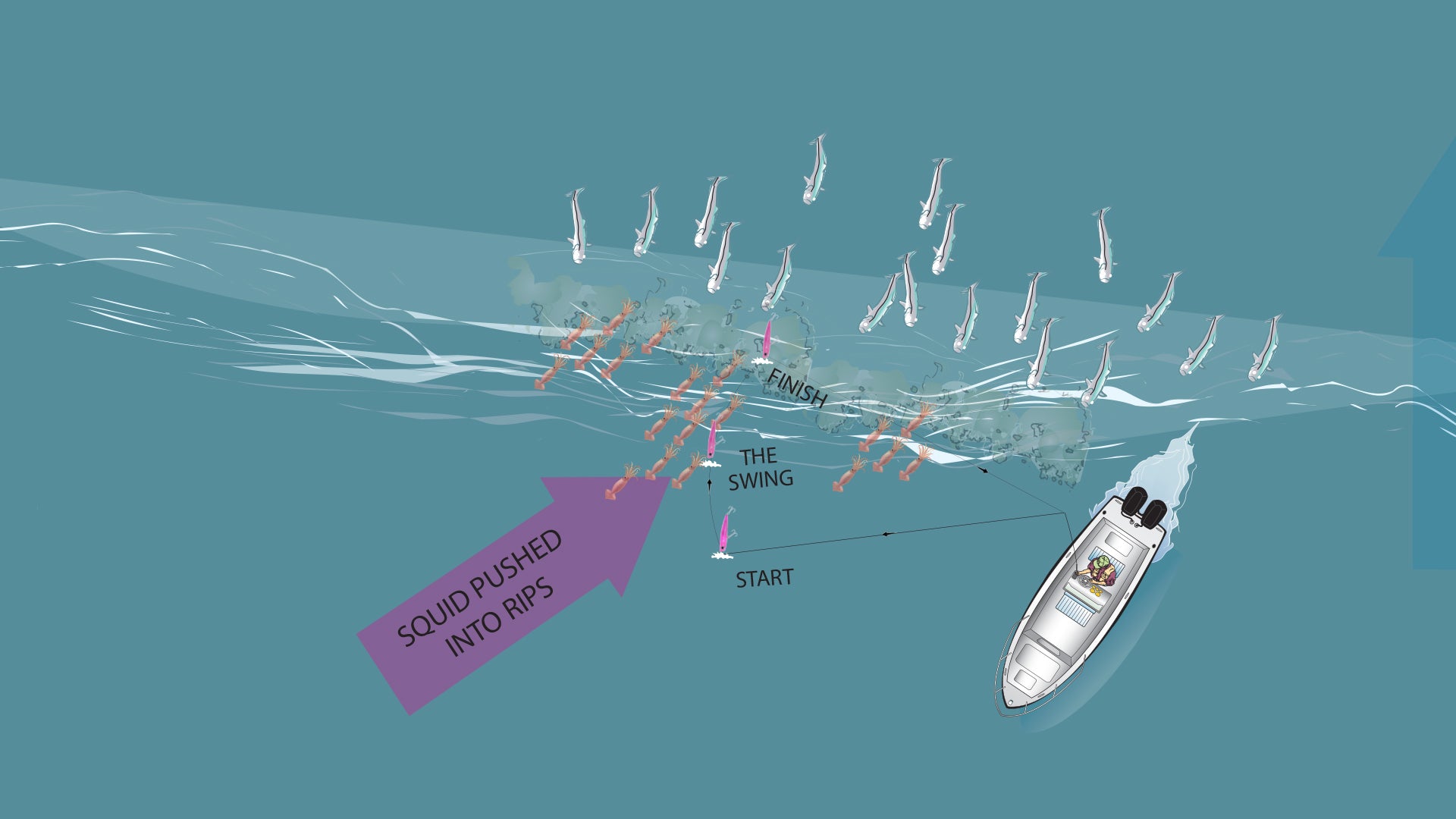 Surface Poppers For Rips Striper Feeding On Squid