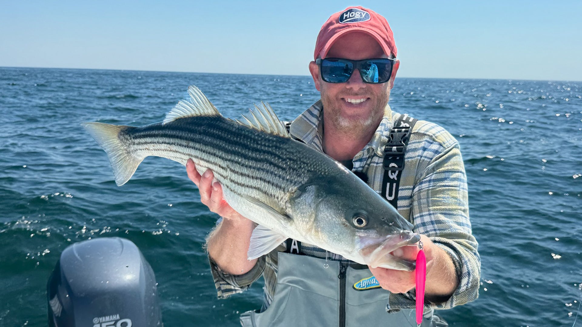 Finicky Striped Bass On Surface Erasers