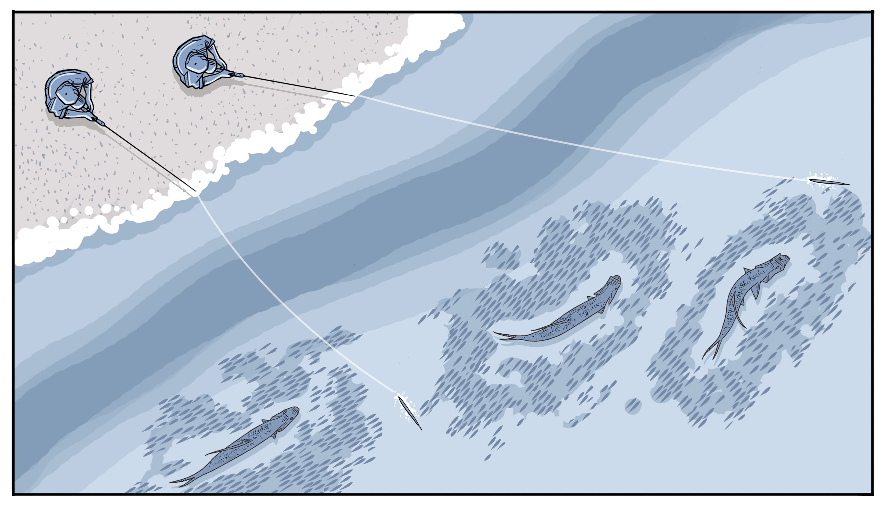 Tarpon Fishing The Minnow Run