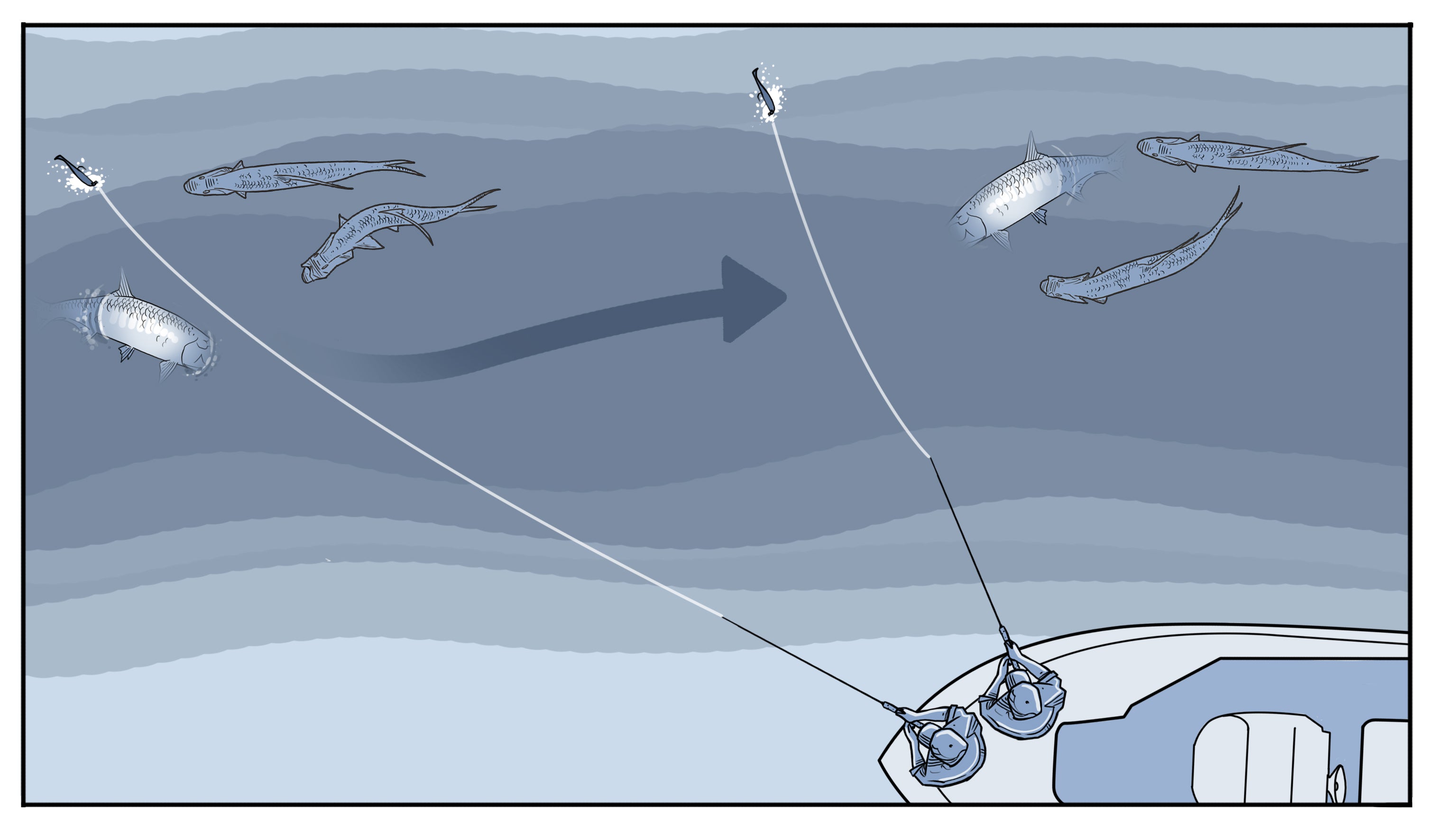 Tarpon Fishing Inland Channels