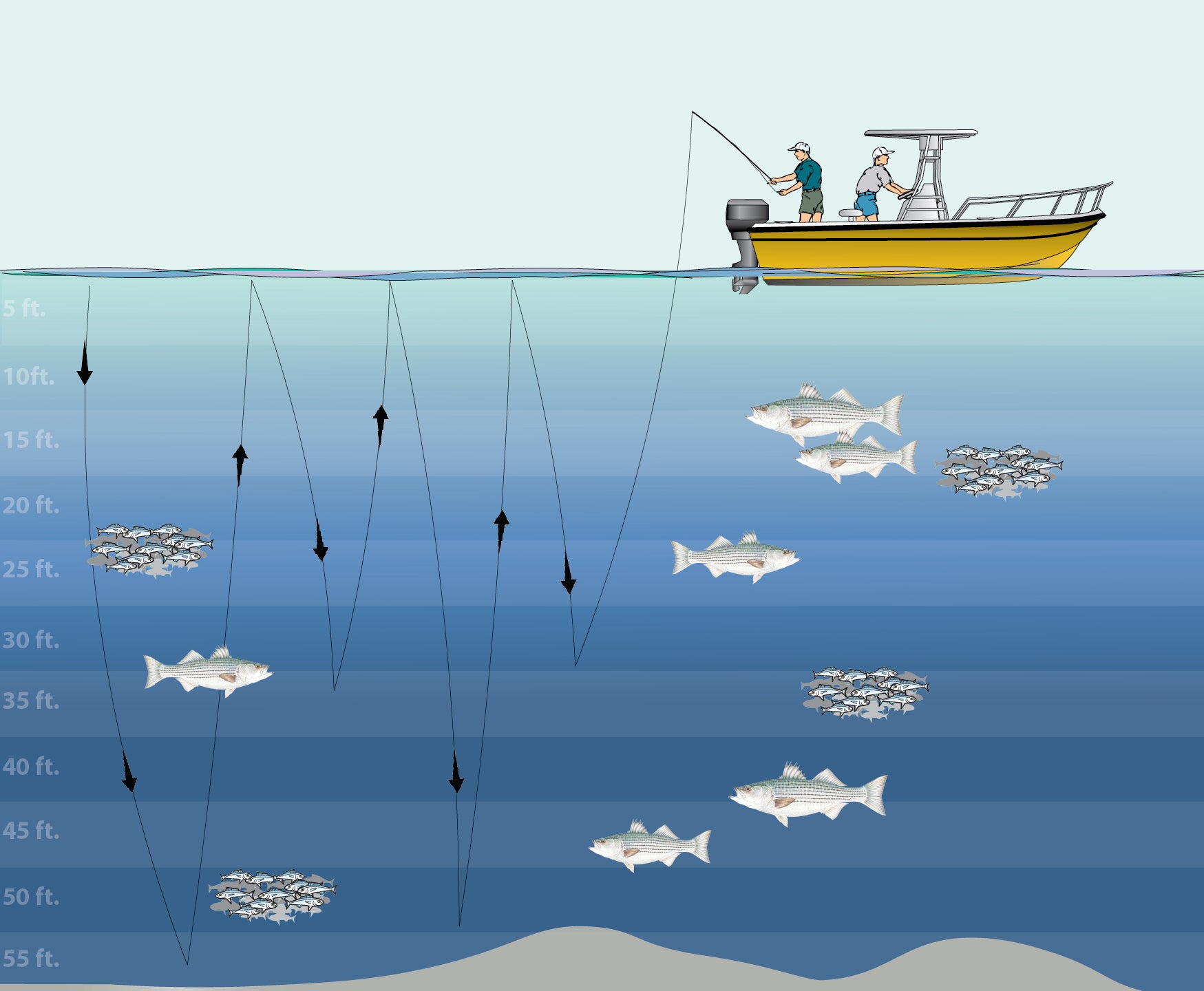 Slow Jigging Stripers