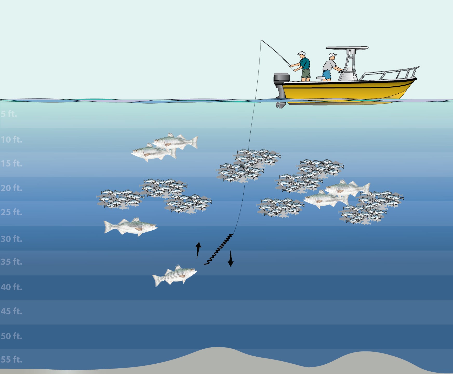 Twitch Jigging Stripers