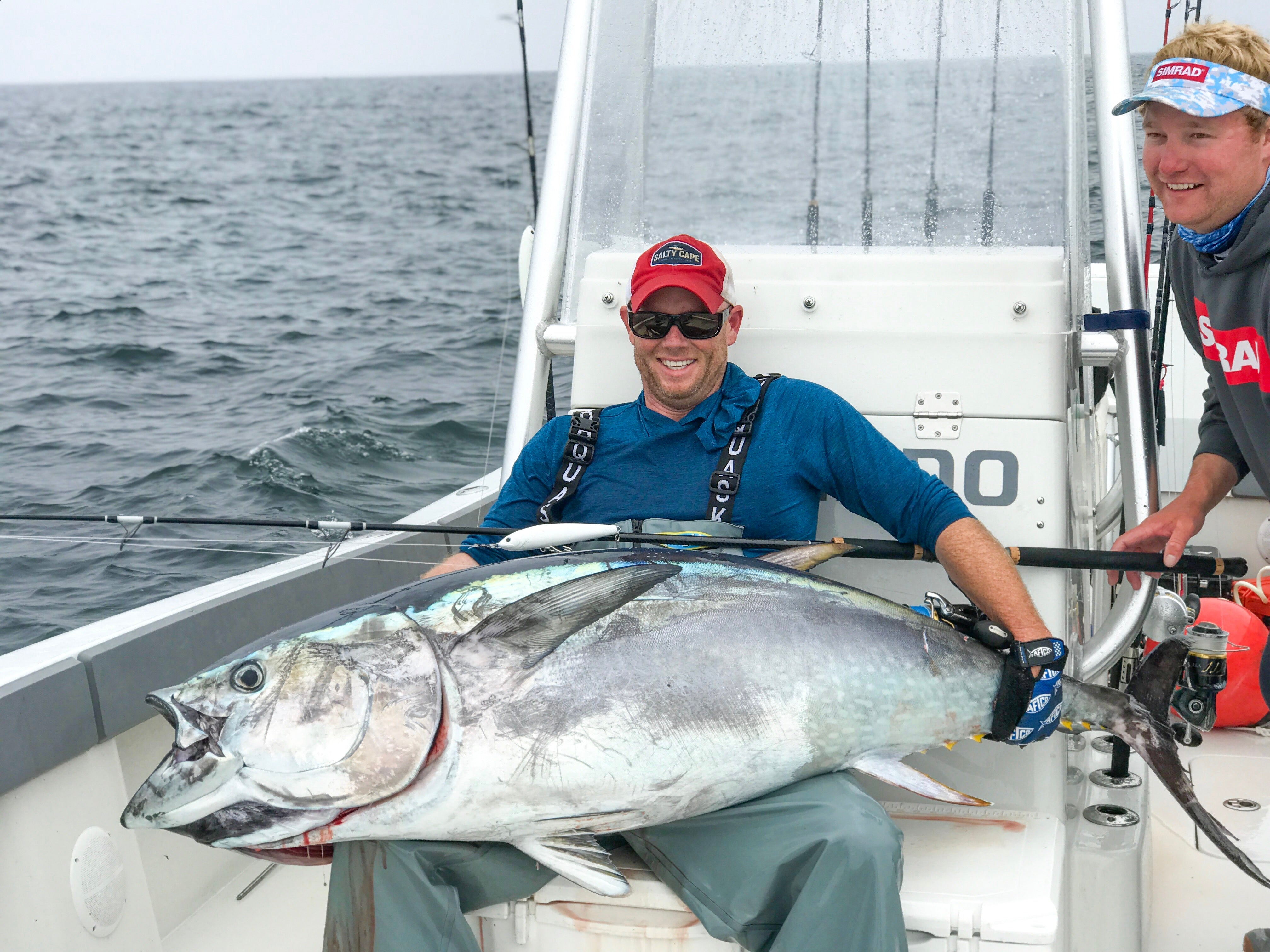 Topwater Tuna Below The Birds