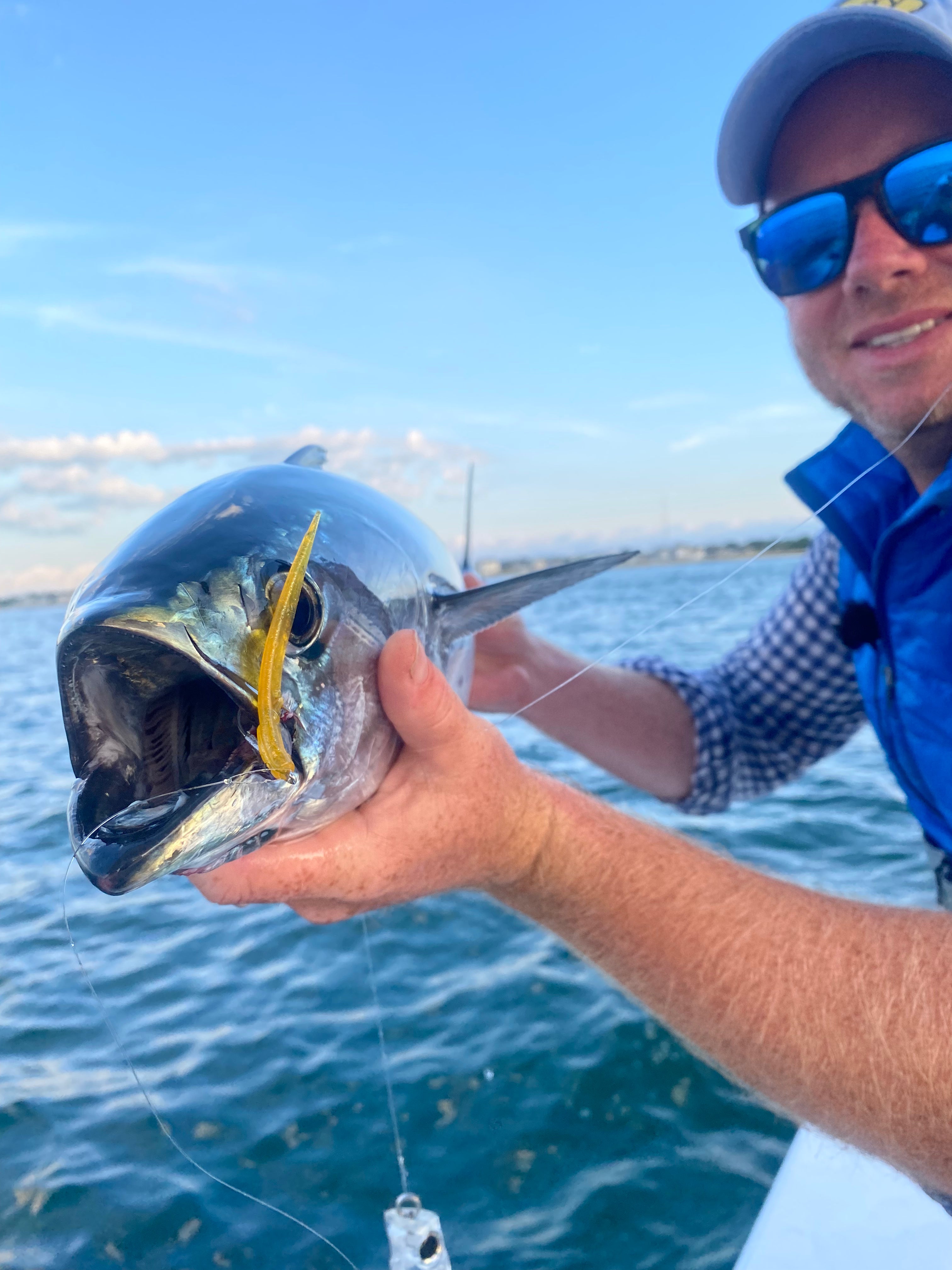 Pop N' Fly Finicky Albies