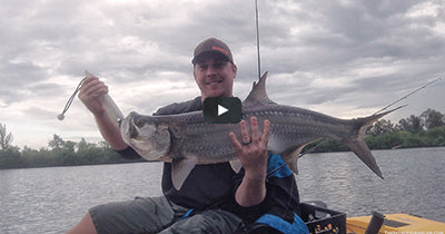 Video: Lagoon Tarpon