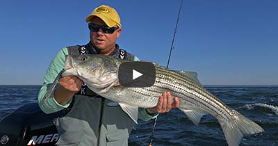 Video: Fishing Rips with EPOXY JIG™ Lures