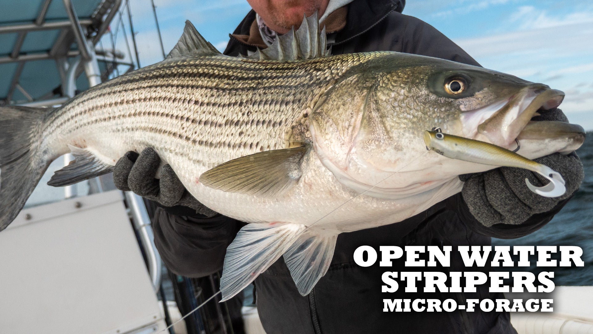 Micro-Forage Open Water Striper Fishing