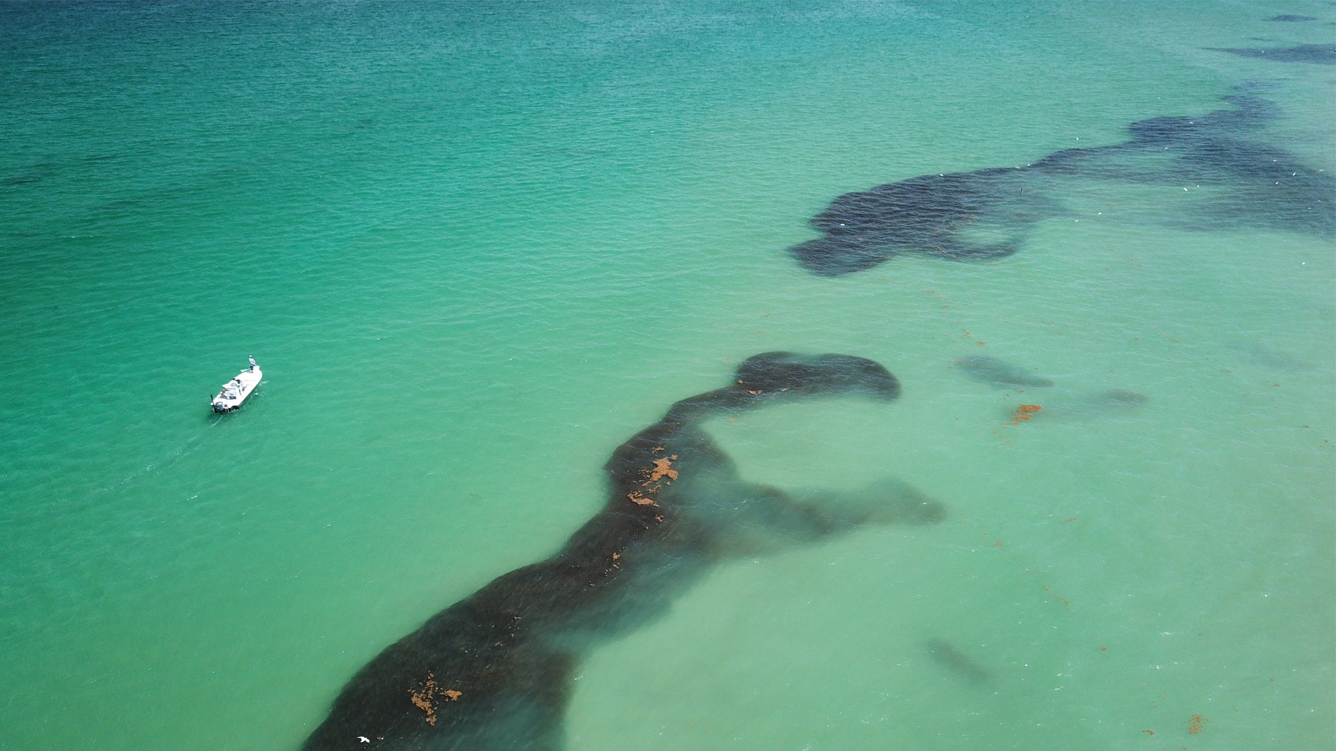 Video: Minnow Run Tarpon