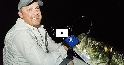 Video: Micro Bait Tarpon