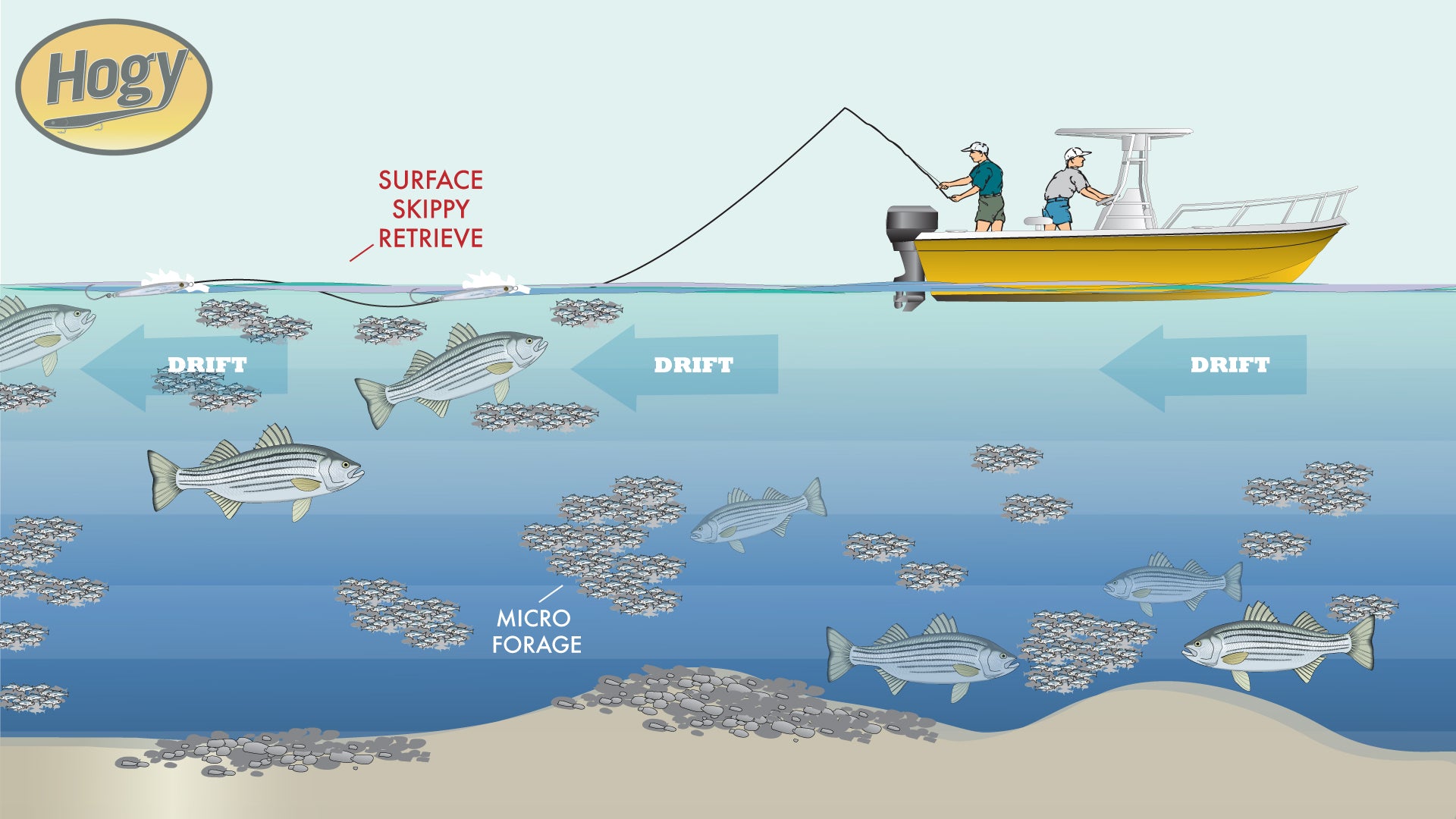Light Tackle Surface Stripers on Epoxy Jig Lures®