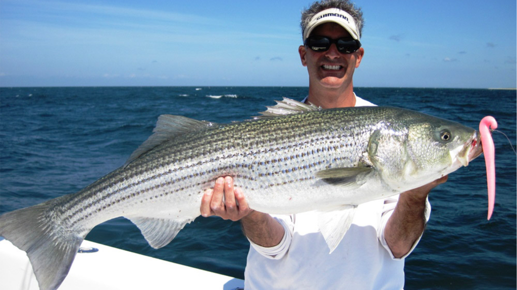 Salty Cape: Summer Striper Fishing (July - September)