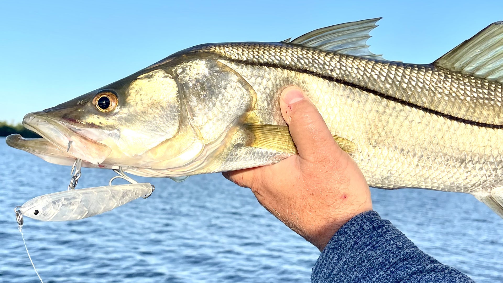 Plug Casting Structure For Snook