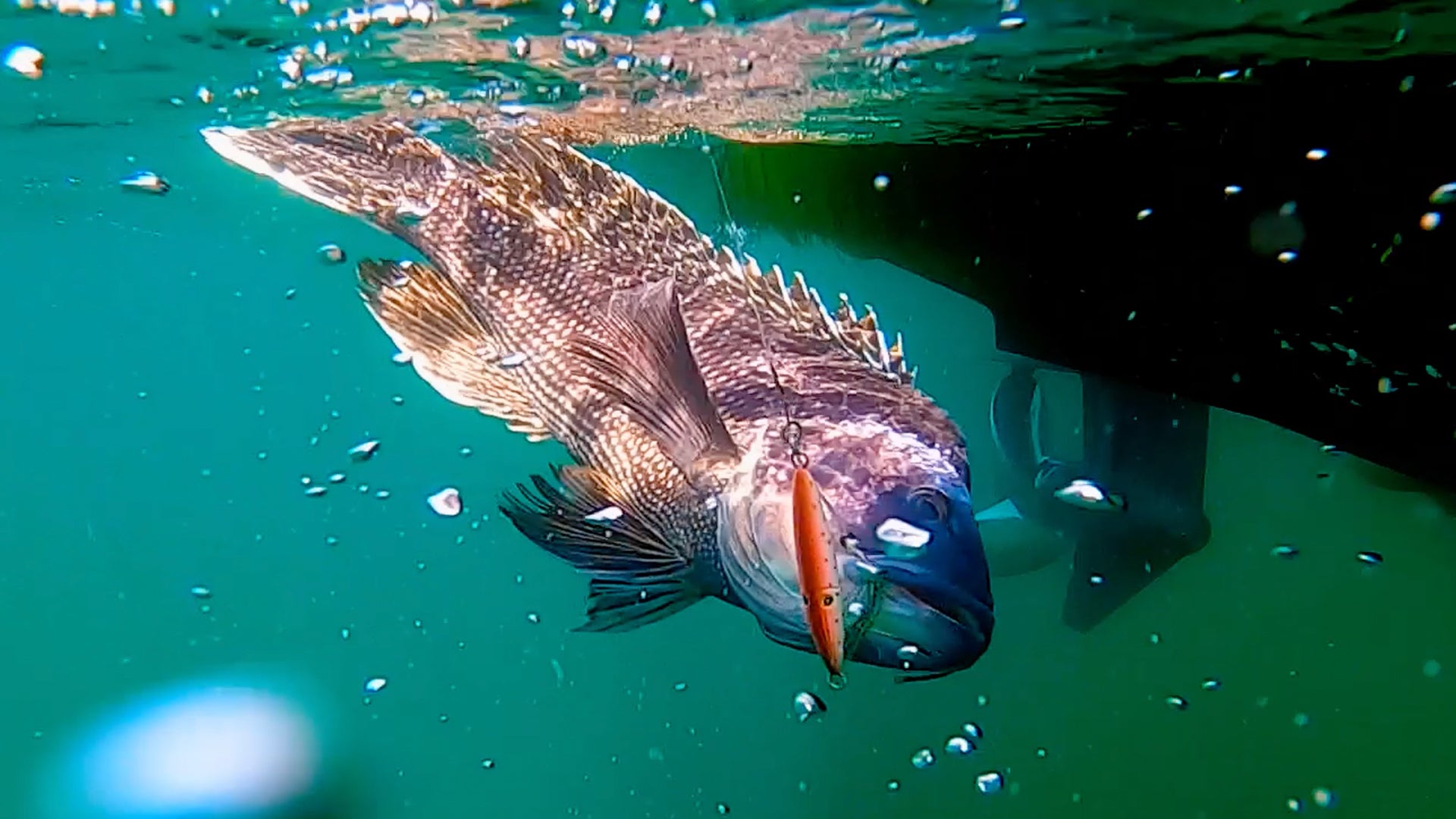 Seabass Squinnow Jig-Biki Jigging Cape Cod