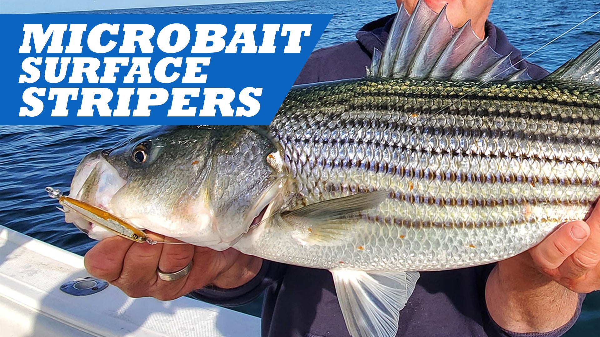 Micro-Bait Surface Stripers On Epoxy Jigs
