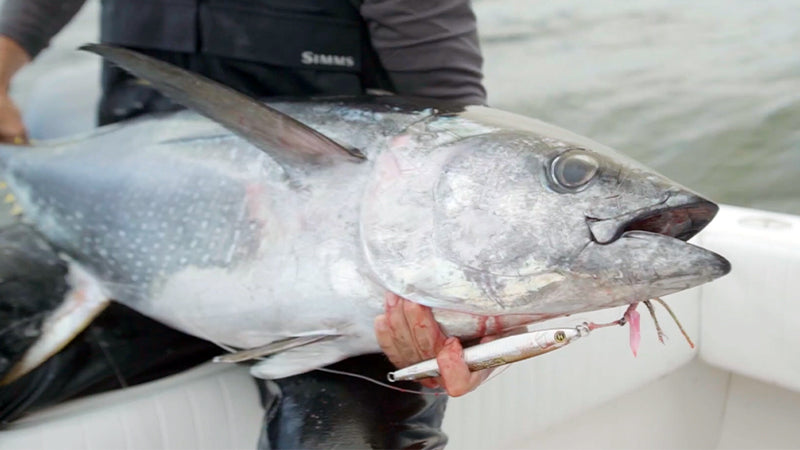 Jigging for Yellowfin Tuna | South of Martha's Vineyard