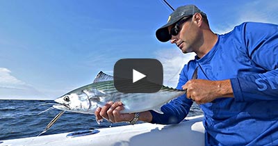 Video: Bonito Casting & Trolling