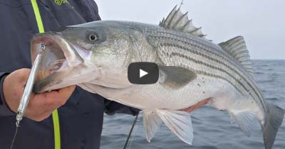 Video: EPOXY JIG™ Techniques for Big Stripers