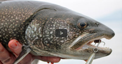 Video: Lake Trout on The EPOXY JIG™ Lure