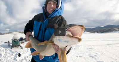 Video: Jigging for Lake Trout with Softbaits