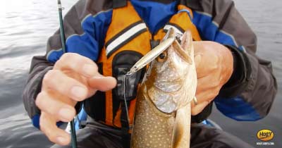 Video: Open Water Lake Trout Jigging