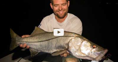 Video: Swimbaits for Deep Water Snook