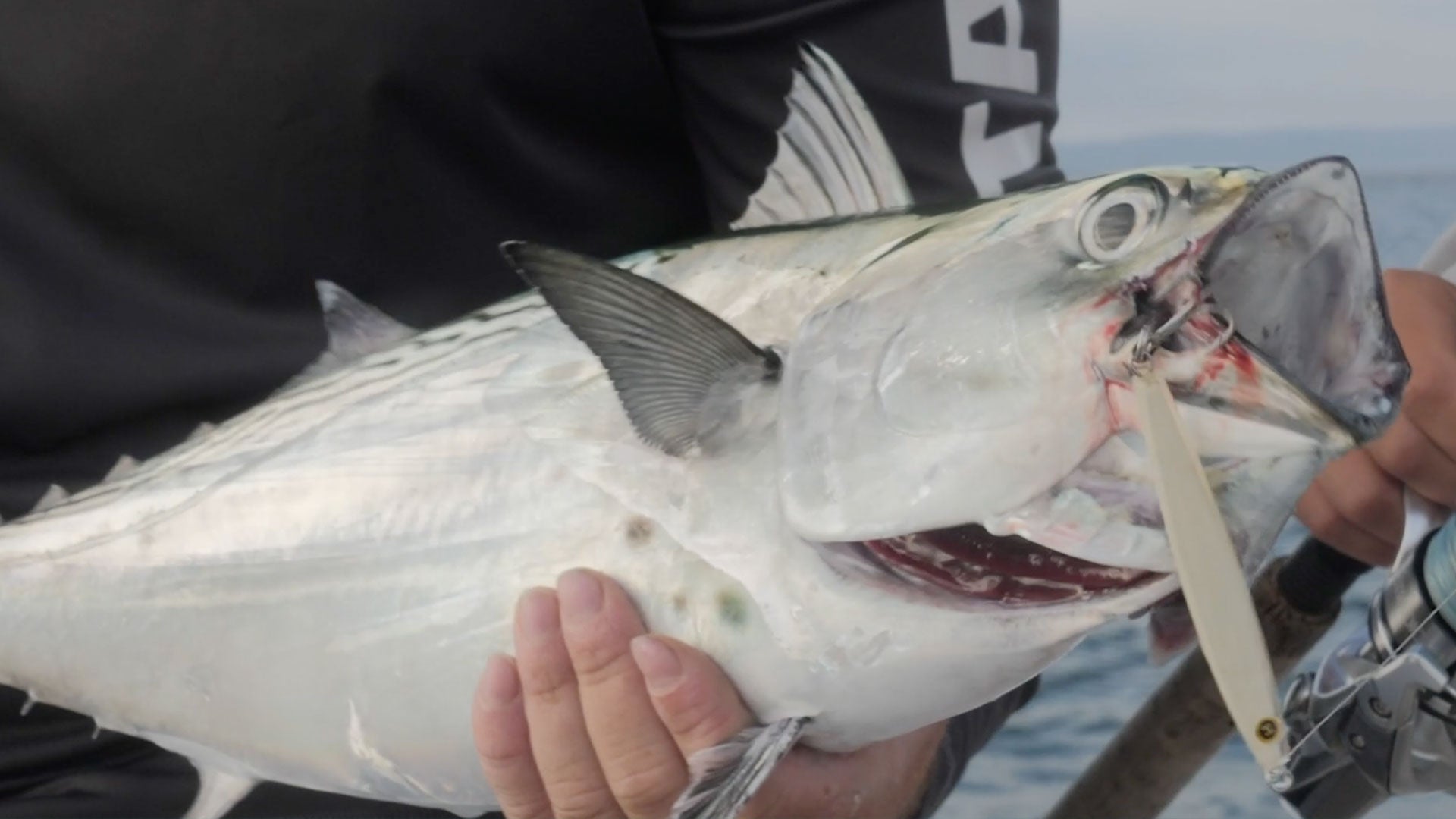 10 Tips for Catching More Summertime Bluefish