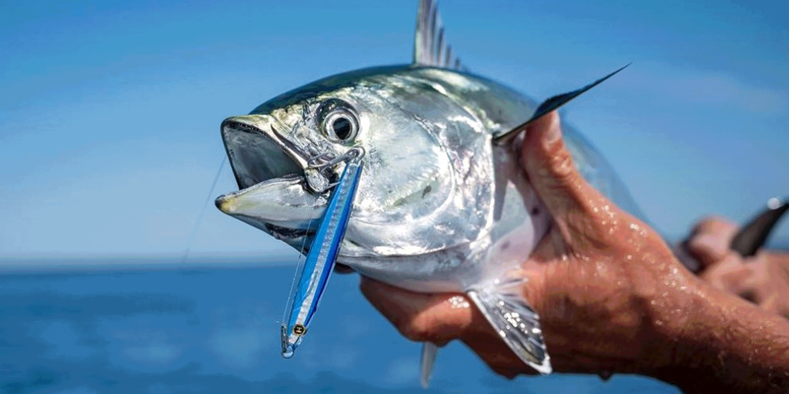 The EPOXY JIG Lure the-epoxy-jig-lure