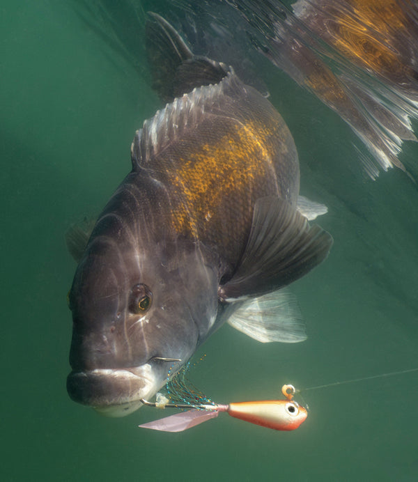 Groundfish Biki Jig