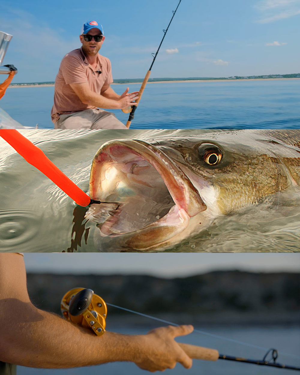 Hybrid Conventional Rod Parabolic Action 5'6" MH