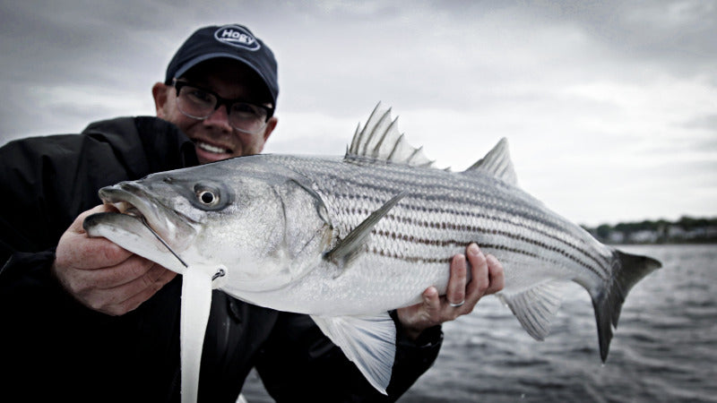 Big Striper Softbait Eel Hogy Hook