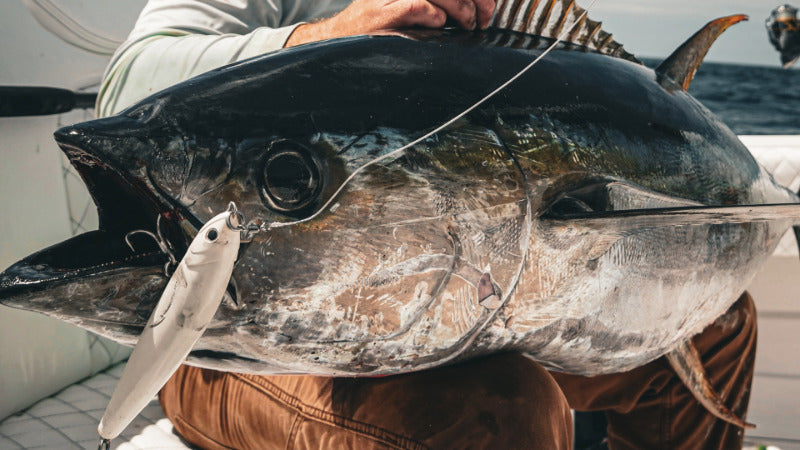 Tuna Charter Grade Slider Casting Plug