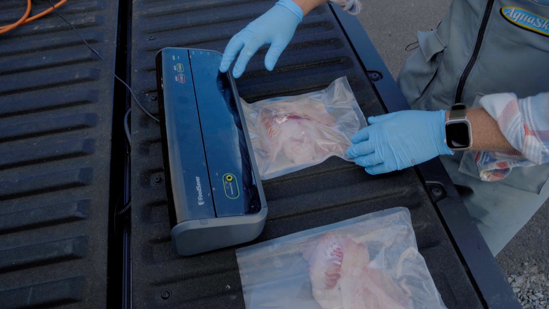 How to Vacuum Seal Fish