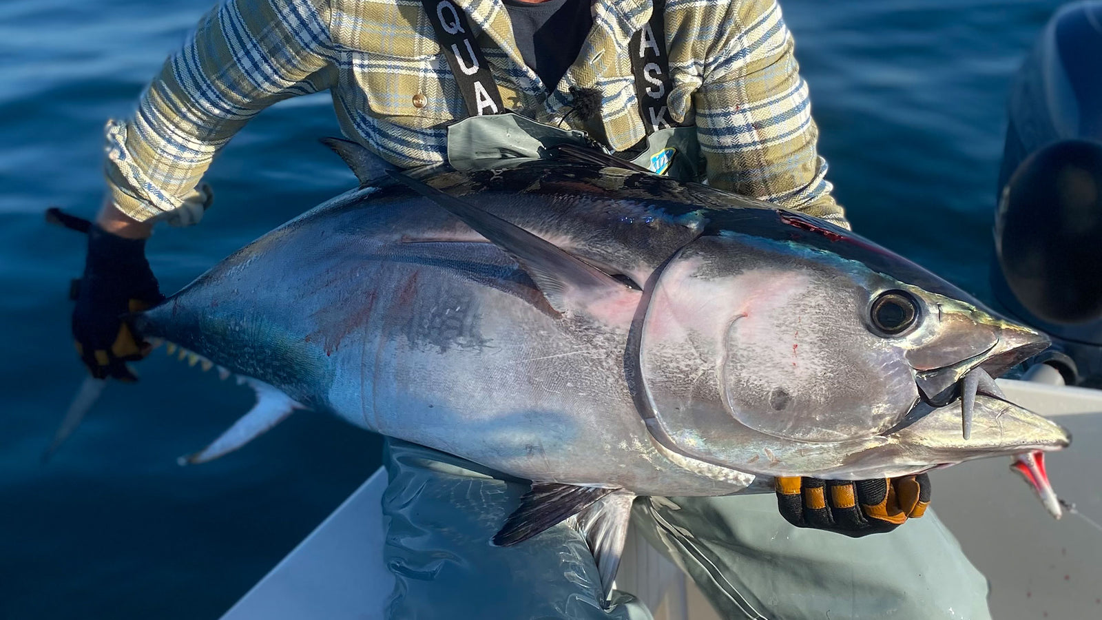 8oz Tuna Harness Jig Kit (4pc)