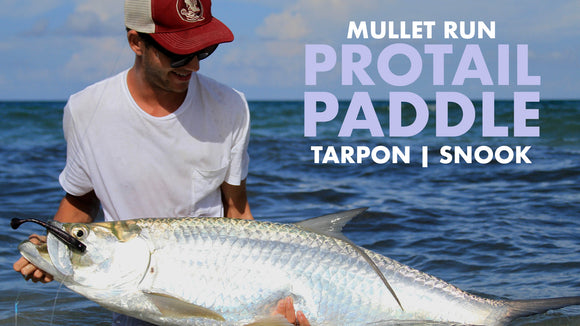 https://hogylures.com/cdn/shop/files/MULLET_RUN_PROTAIL_580x.jpg?v=1698429033