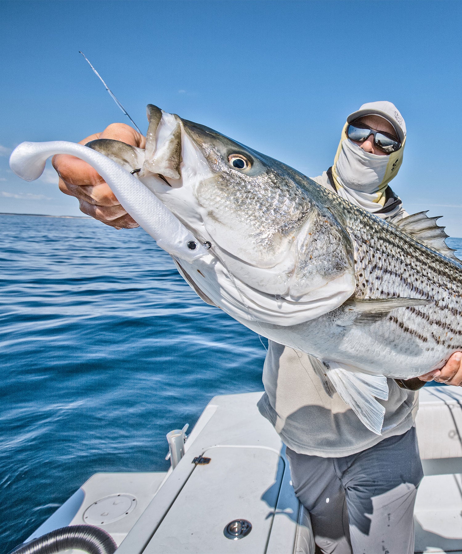 Buy Vicious Fishing Products Online at Best Prices in curacao